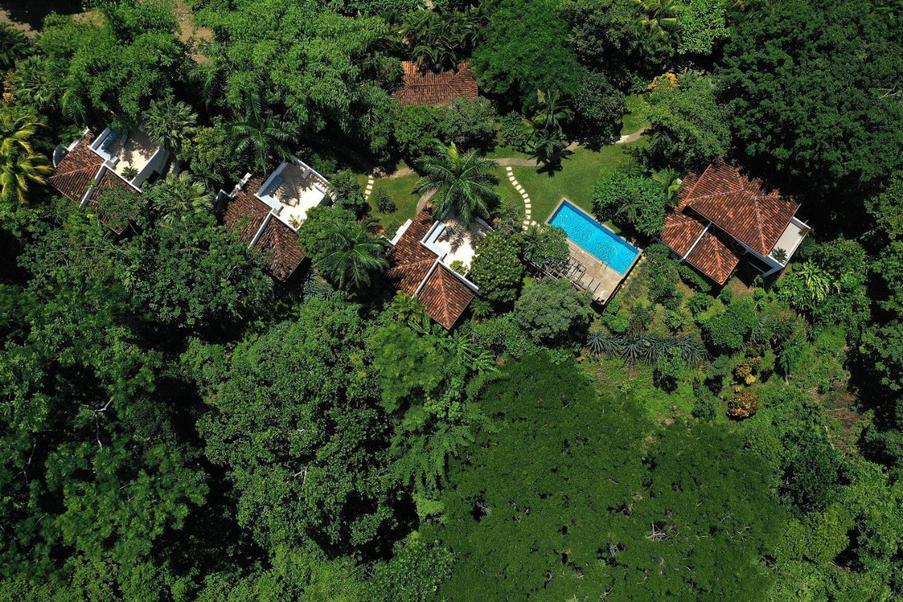 Casa Frangipani