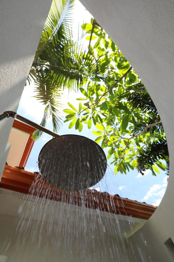 Casa Frangipani Montezuma